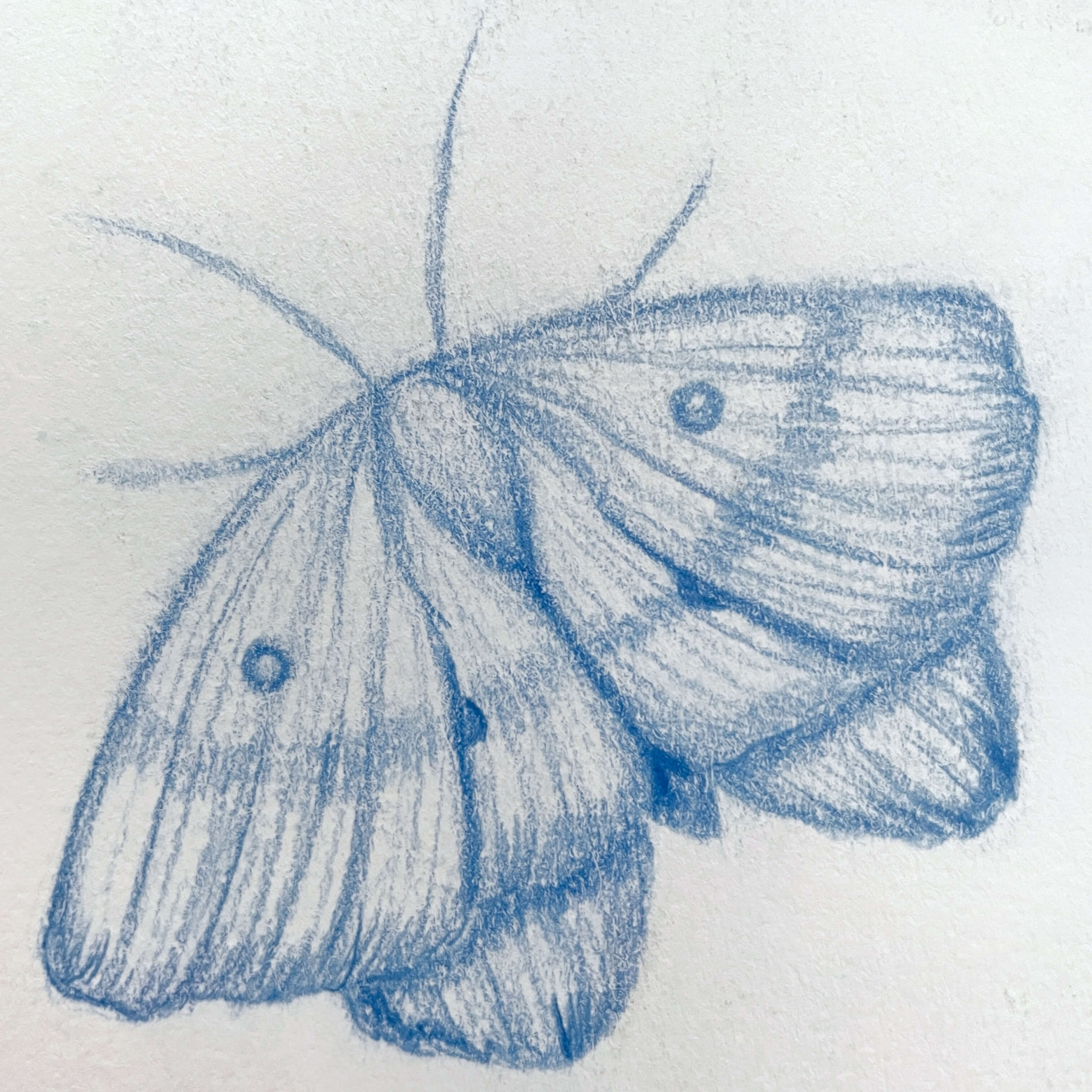 Better Late than Never: Why I’m Starting an Art Blog in 2026